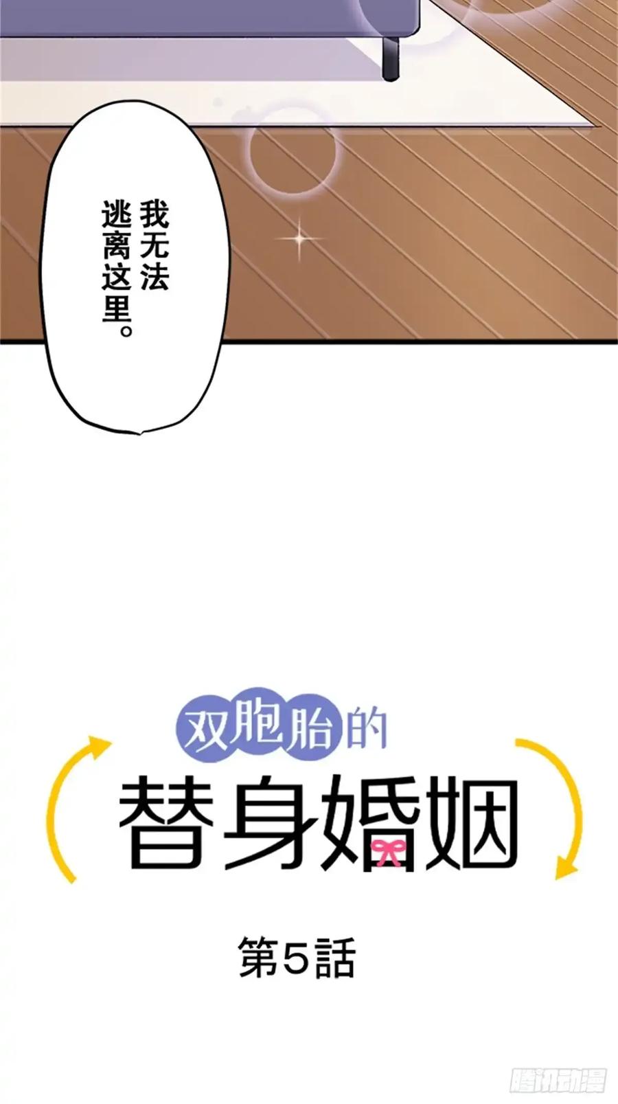 《双胞胎的替身婚姻》05 第18页
