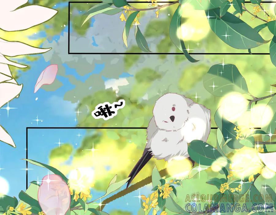 《宠入心扉》第13话 第73页