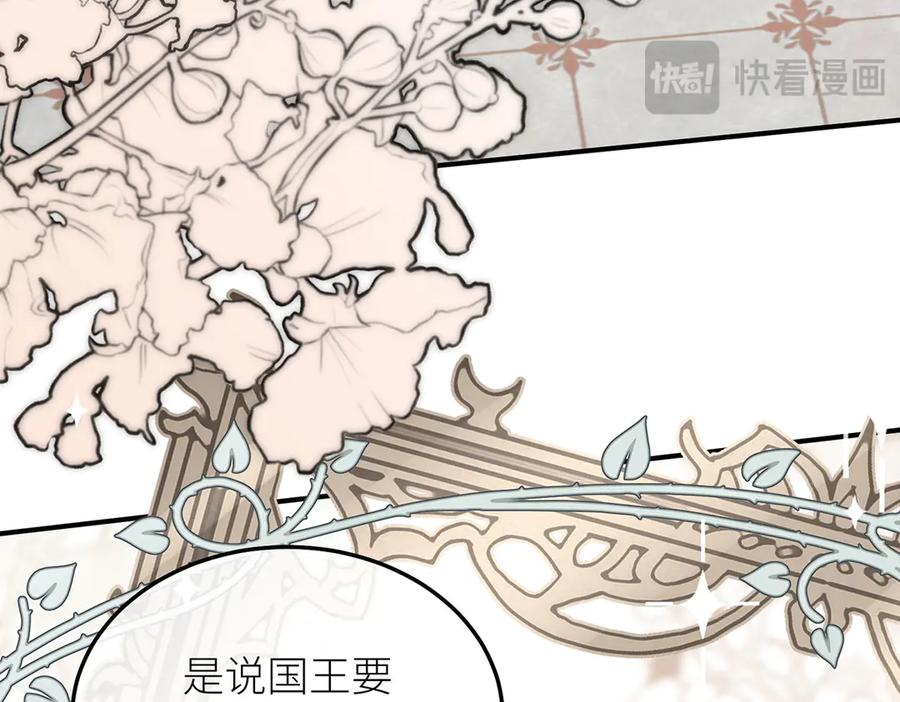 《罗斯玛丽的苏醒》13 驴皮公主 第11页