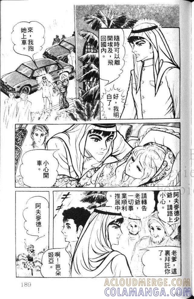 尼罗河女儿 第20卷 第189页