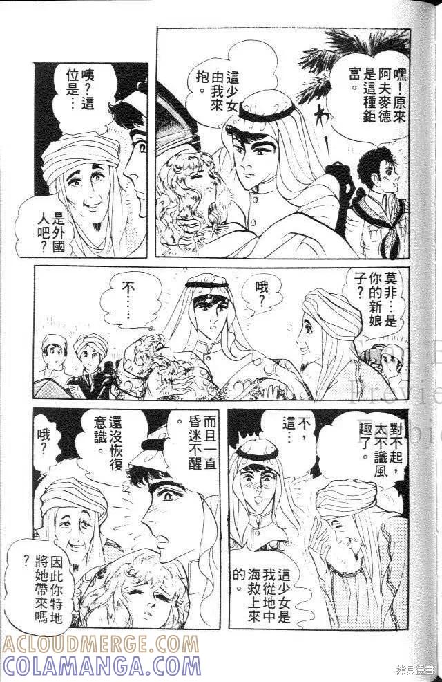 尼罗河女儿 第20卷 第197页