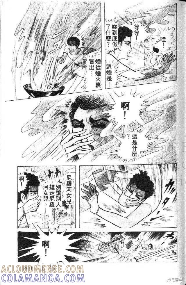 尼罗河女儿 第25卷 第201页