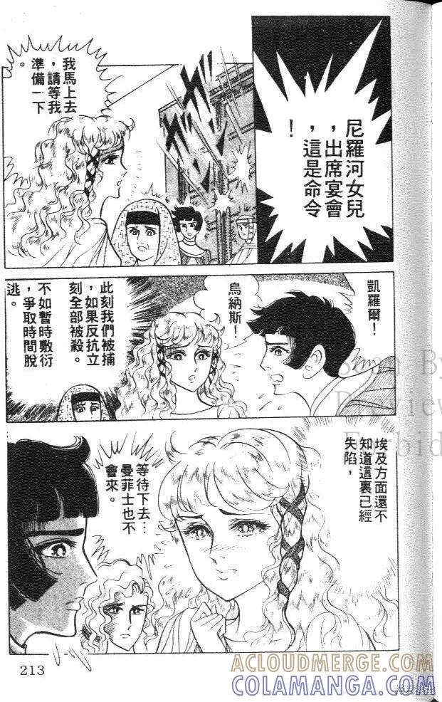 尼罗河女儿 第27卷 第213页