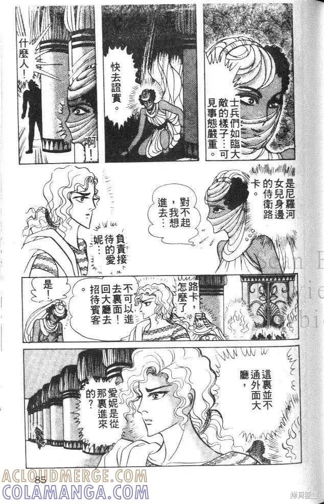 尼罗河女儿 第30卷 第85页