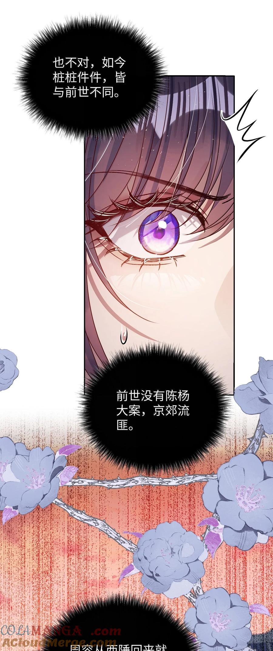 娇养了个疯批美人儿 061 回忆罢了 第29页