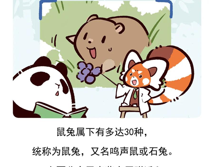 《胖达x胖达》第91话 第20页