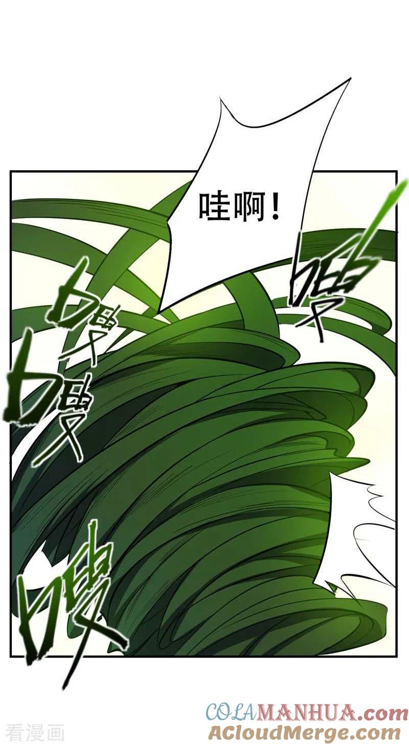 《妖者为王》第40话 这…草！会玩！ 第17页