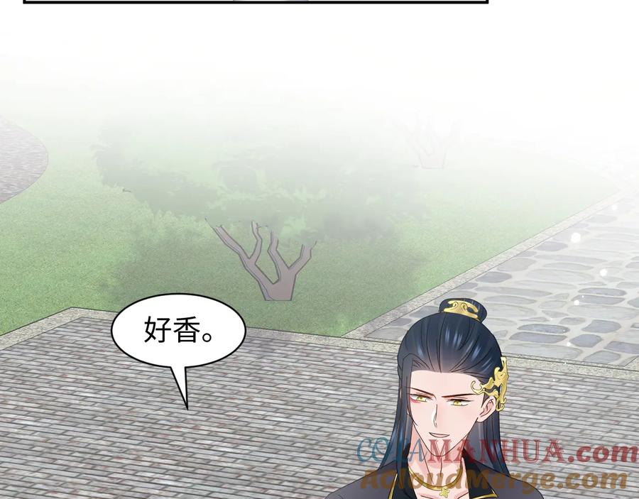 妖尊非要对我负责 - 完结篇 终成眷属 - 第25张图