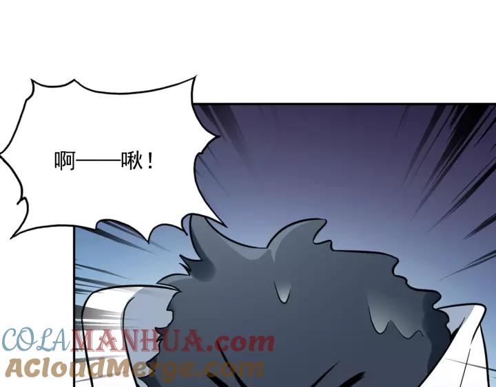 妖尊非要对我负责 - 第14话 捡到一只毛球球 - 第5张图