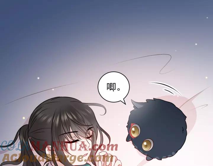 妖尊非要对我负责 - 第14话 捡到一只毛球球 - 第49张图