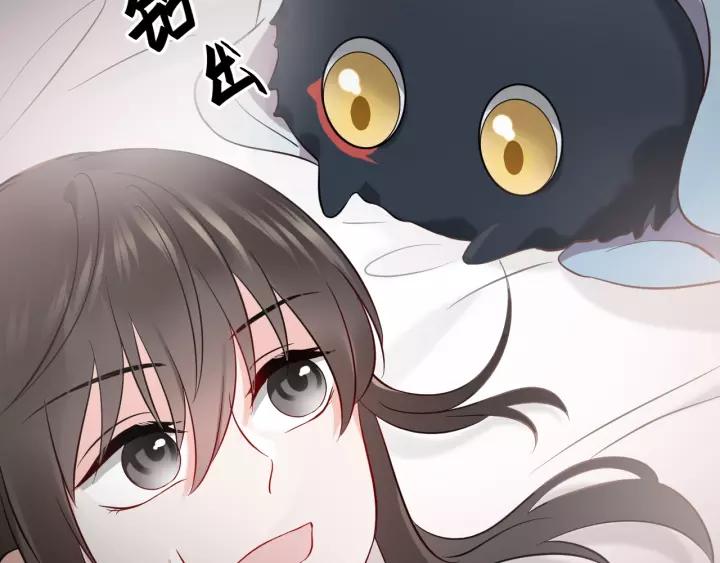 妖尊非要对我负责 - 第14话 捡到一只毛球球 - 第40张图