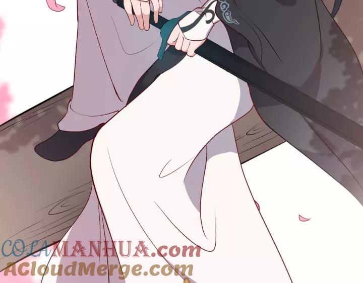 妖尊非要对我负责 - 第14话 捡到一只毛球球 - 第97张图