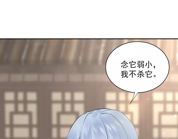 妖尊非要对我负责 - 第14话 捡到一只毛球球 - 第20张图