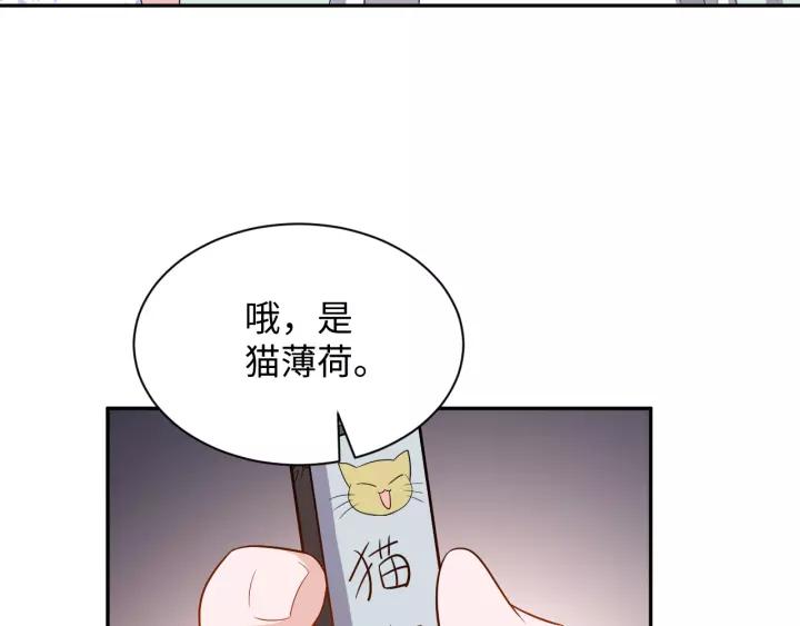 妖尊非要对我负责 - 第45话 北逍肥来啦！ - 第56张图
