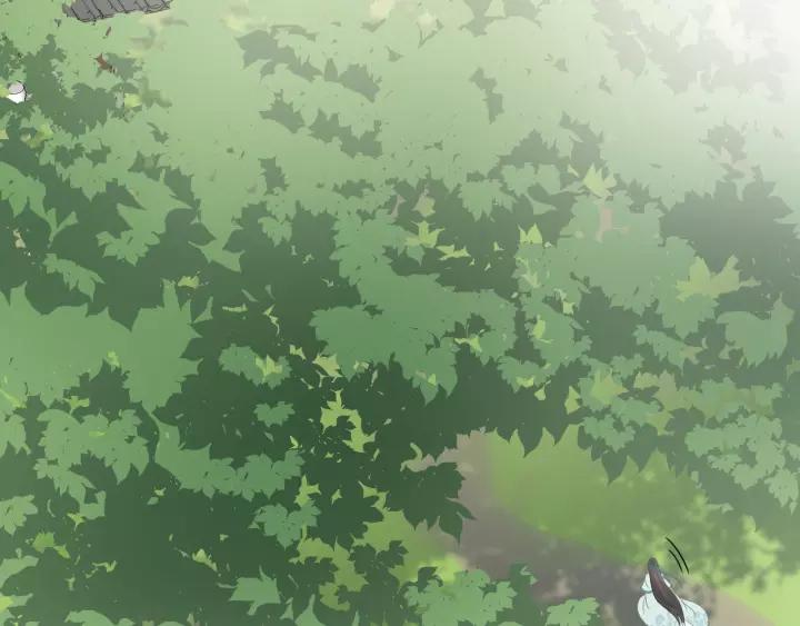 妖尊非要对我负责 - 第48话 凤凰的逆天能力 - 第15张图