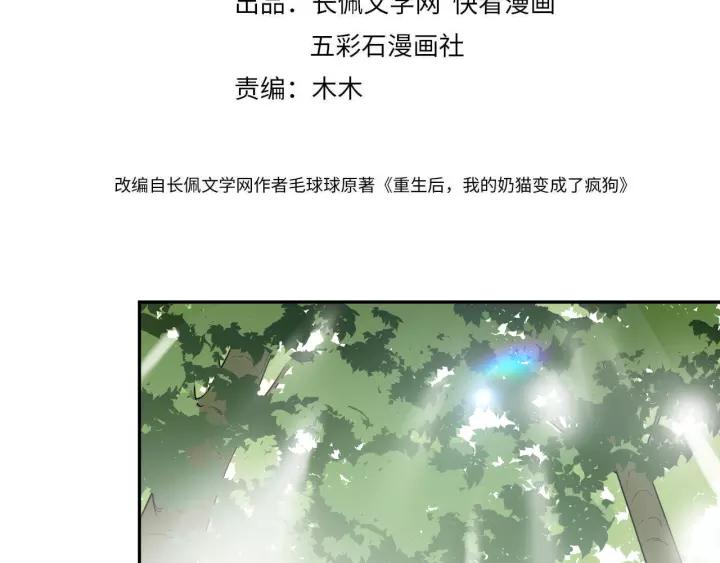妖尊非要对我负责 - 第48话 凤凰的逆天能力 - 第4张图