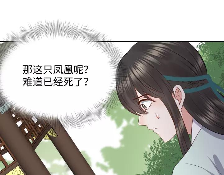 妖尊非要对我负责 - 第48话 凤凰的逆天能力 - 第64张图