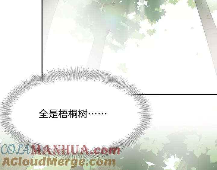 妖尊非要对我负责 - 第48话 凤凰的逆天能力 - 第5张图