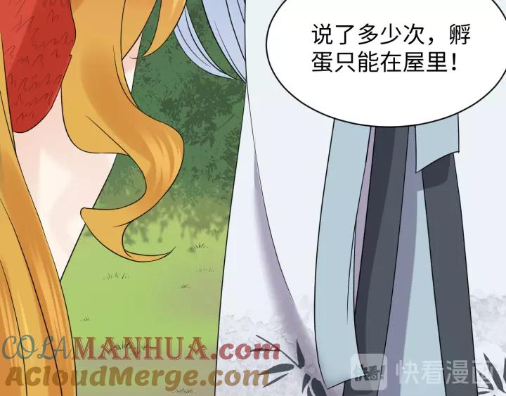 妖尊非要对我负责 - 第48话 凤凰的逆天能力 - 第33张图