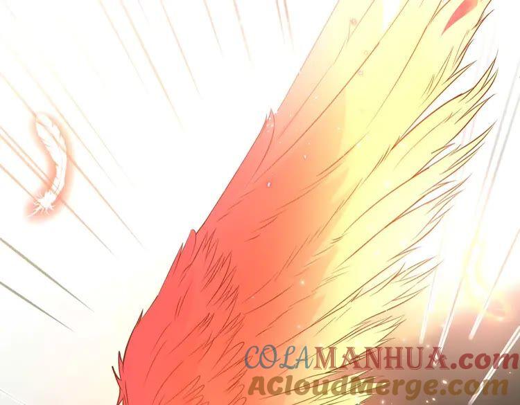 妖尊非要对我负责 - 第4话 凤凰翼 - 第13张图