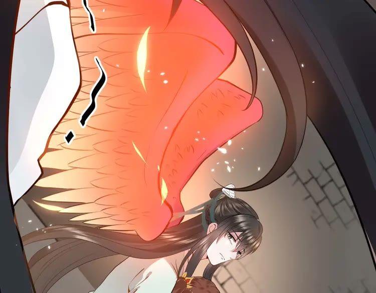 妖尊非要对我负责 - 第4话 凤凰翼 - 第134张图