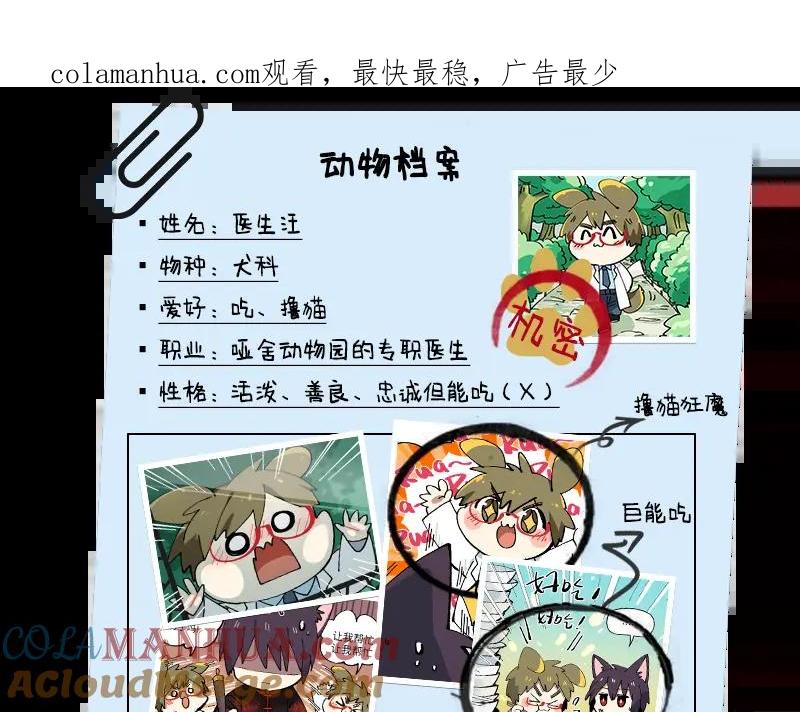 《哑舍动物园》医生汪机密角色卡 第1页