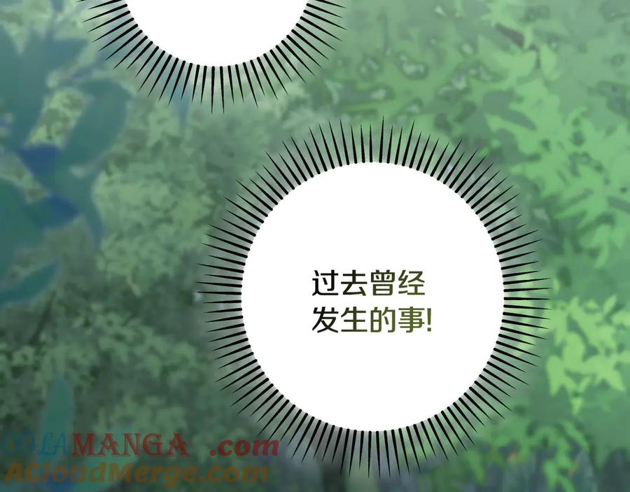 冒牌圣女等待离场 第96话 危险的裂缝 第181页