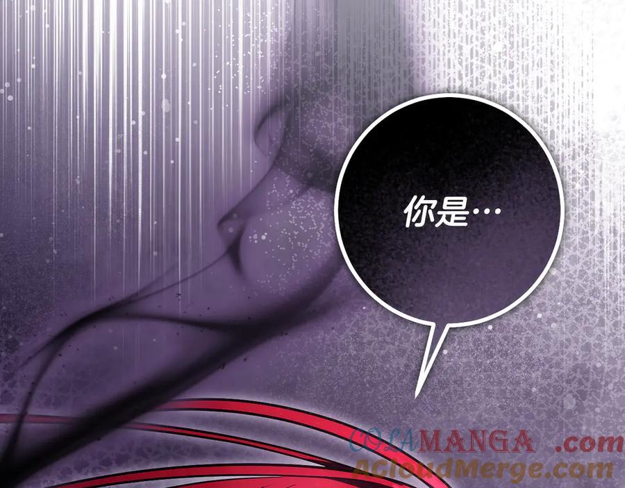 冒牌圣女等待离场 第96话 危险的裂缝 第201页