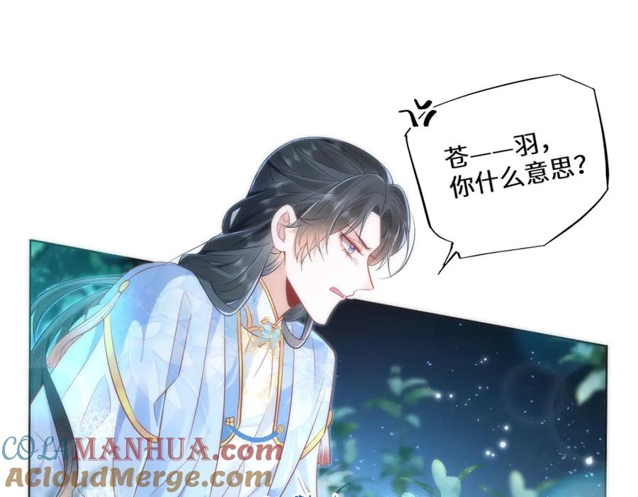 野狐狸与高岭花谁会先掉马？ - 10 你苍羽，本宫要定了！ - 第43张图