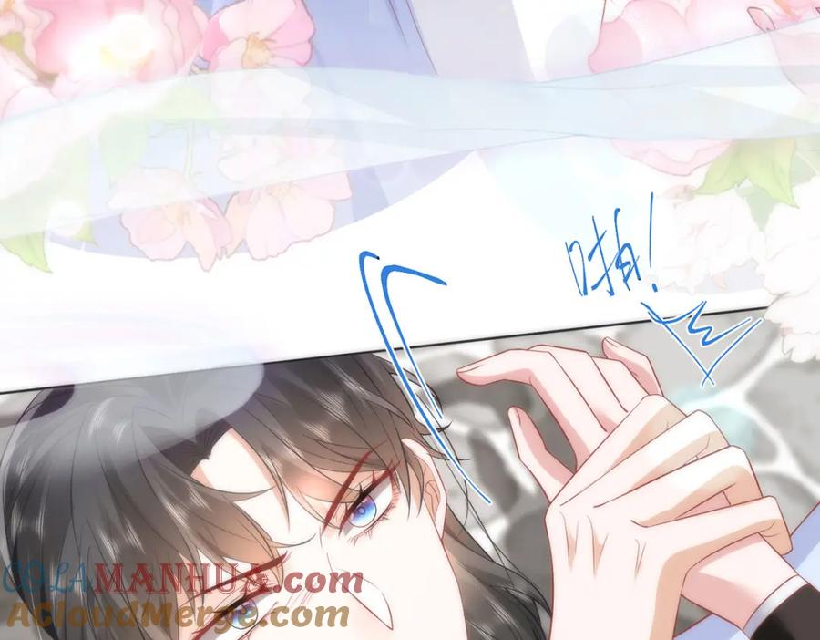 野狐狸与高岭花谁会先掉马？ - 10 你苍羽，本宫要定了！ - 第34张图