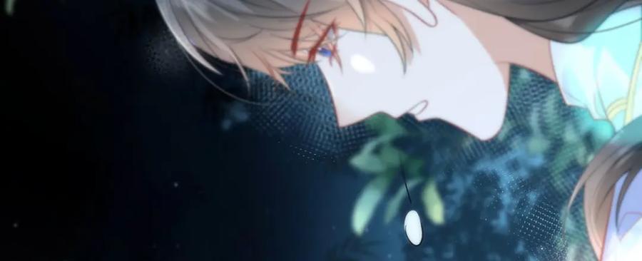 野狐狸与高岭花谁会先掉马？ - 10 你苍羽，本宫要定了！ - 第48张图