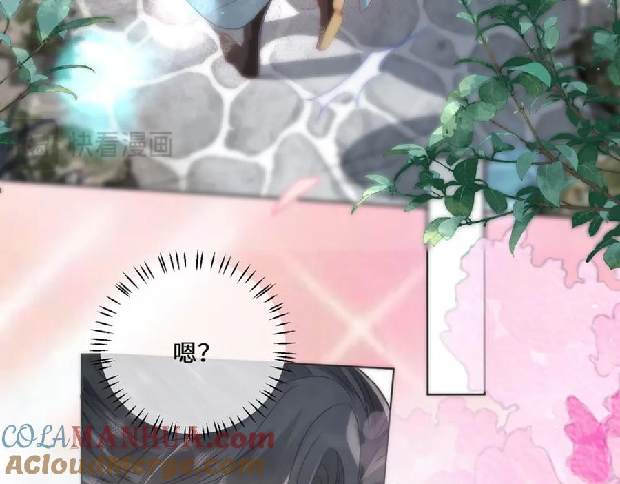 野狐狸与高岭花谁会先掉马？ - 10 你苍羽，本宫要定了！ - 第10张图