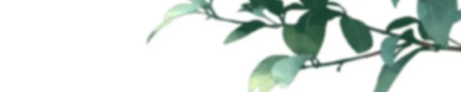 野狐狸与高岭花谁会先掉马？ - 01 这驸马小爷不当！ - 第76张图