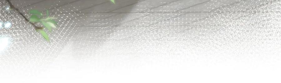 野狐狸与高岭花谁会先掉马？ - 47 苍羽不喜欢男人！ - 第54张图