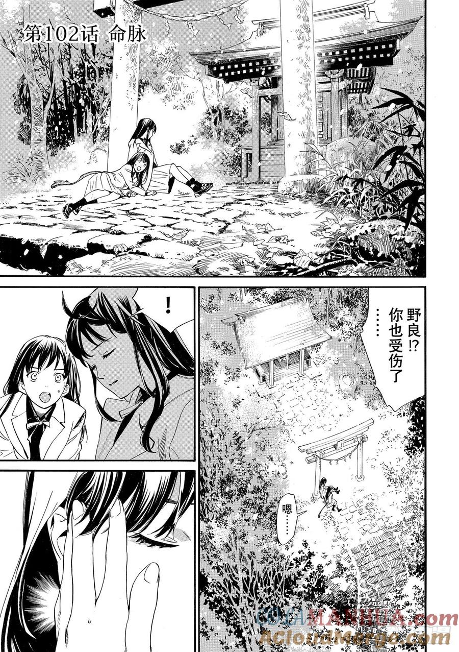野良神 102 命脉 第3页