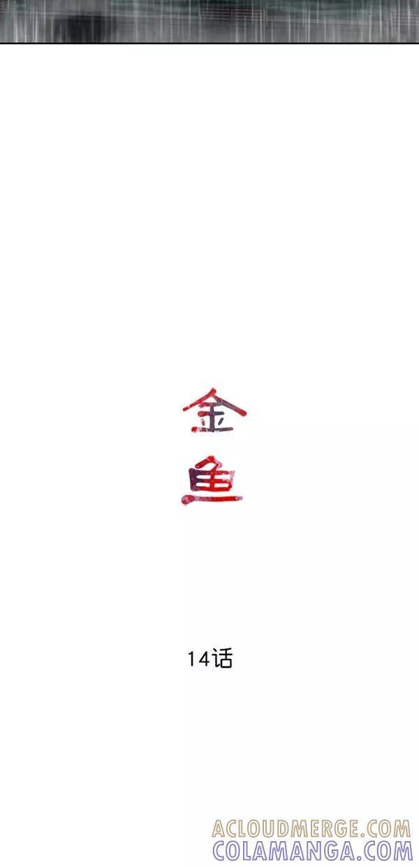 《金鱼》第14话 第15页