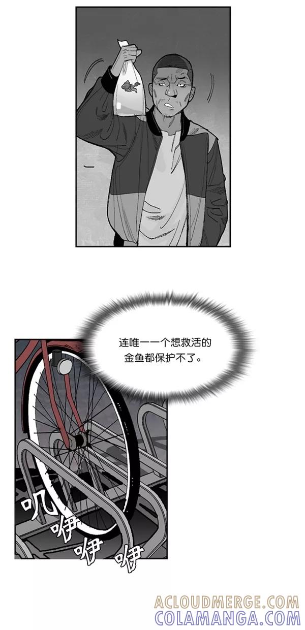 《金鱼》第7话 第31页