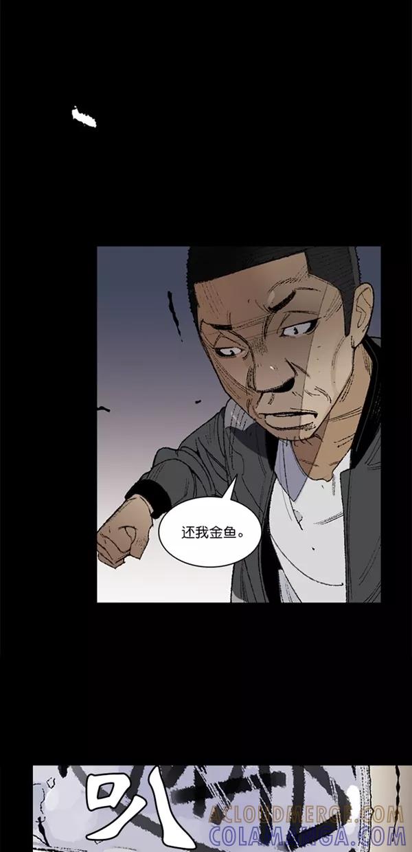 《金鱼》第7话 第10页