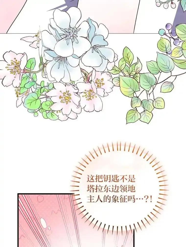 公爵夫人的秘密执笔 66.价值连城的礼物 第82页