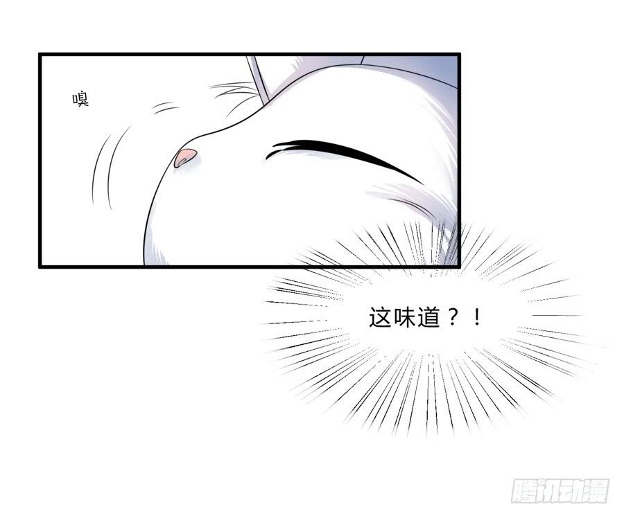 《水货妖精太磨人》林宇哥哥救救我！ 第13页