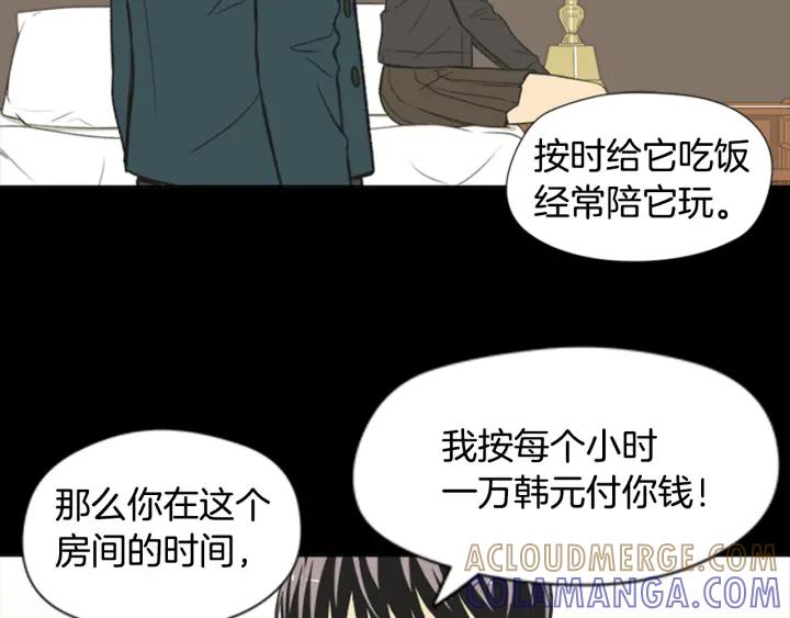 《不能恋爱的房间》第61话 土豪养猫法 第37页