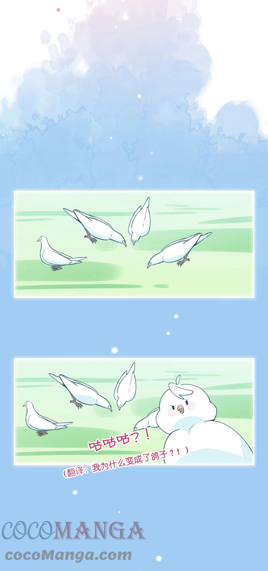 夜莺与玫瑰 - 011 中招！诅咒魔法 - 第17张图