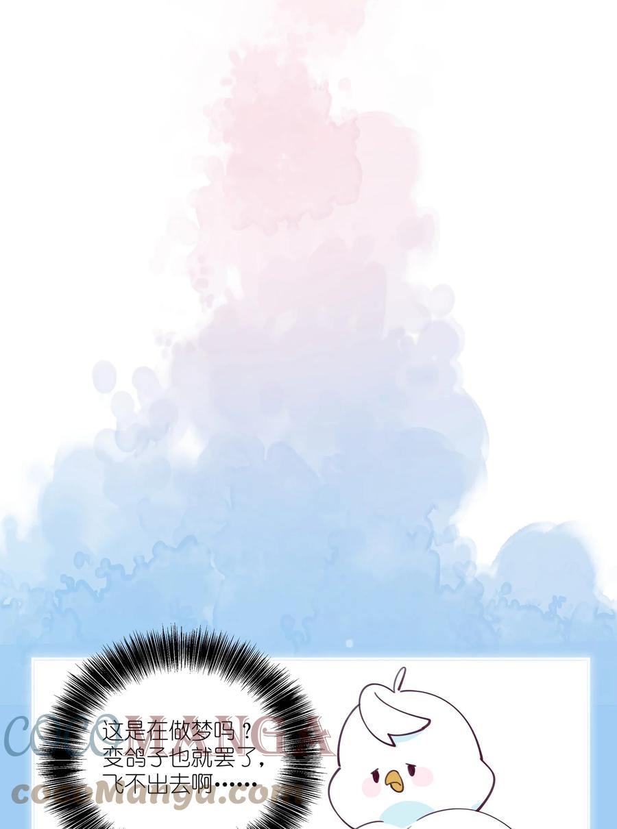 夜莺与玫瑰 - 012 你愿意，相信我吗？ - 第15张图