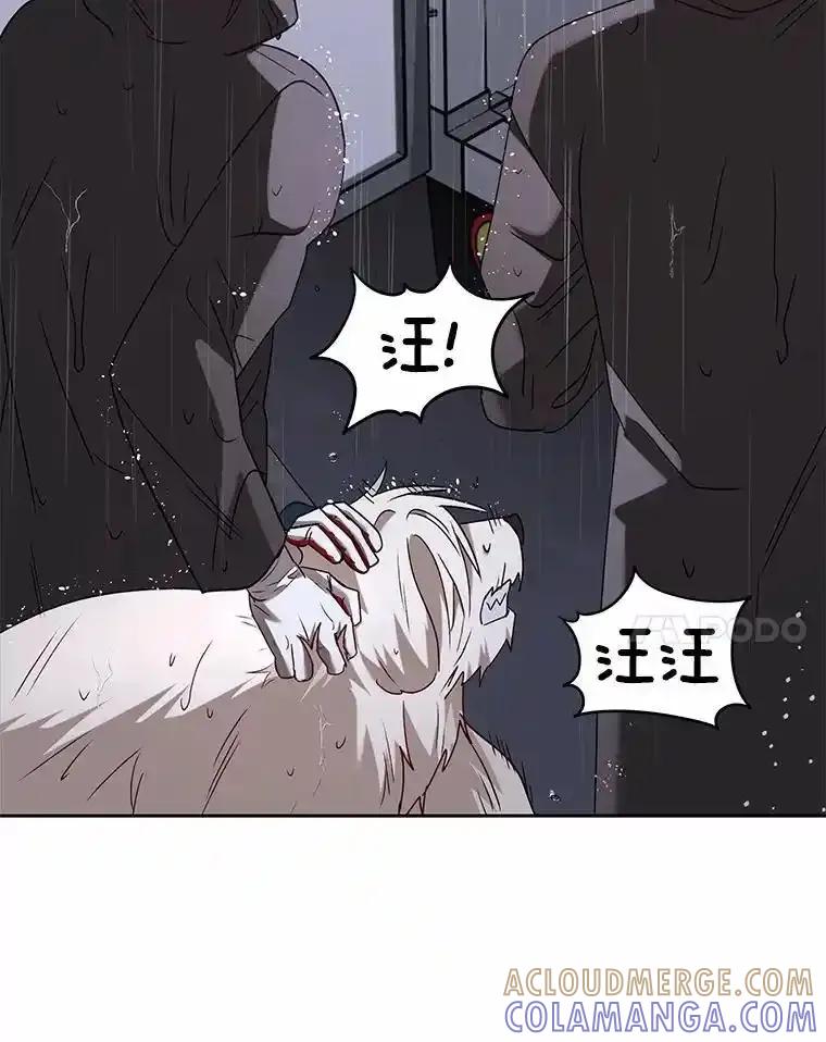 《你好？兽医先生！》58.小古历险记（2） 第37页