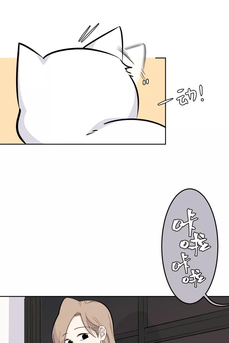 一半 - [第14话] 告白（2） - 第11张图