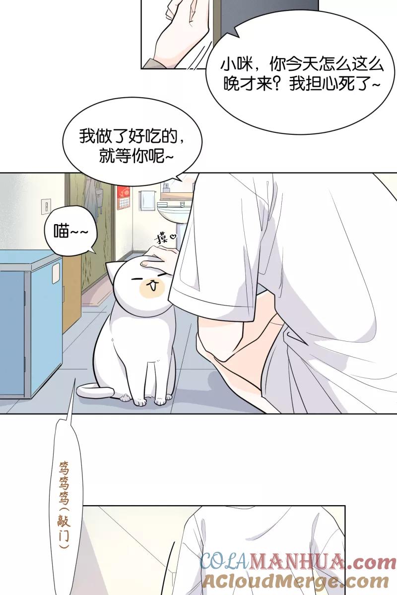 一半 - [第1话] 出走的猫（1） - 第39张图