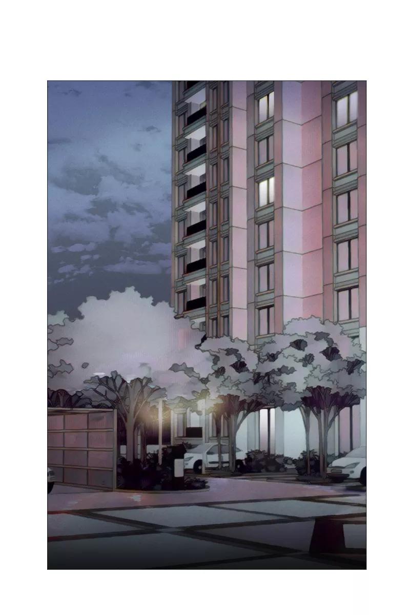 一半 - [第1话] 出走的猫（1） - 第24张图