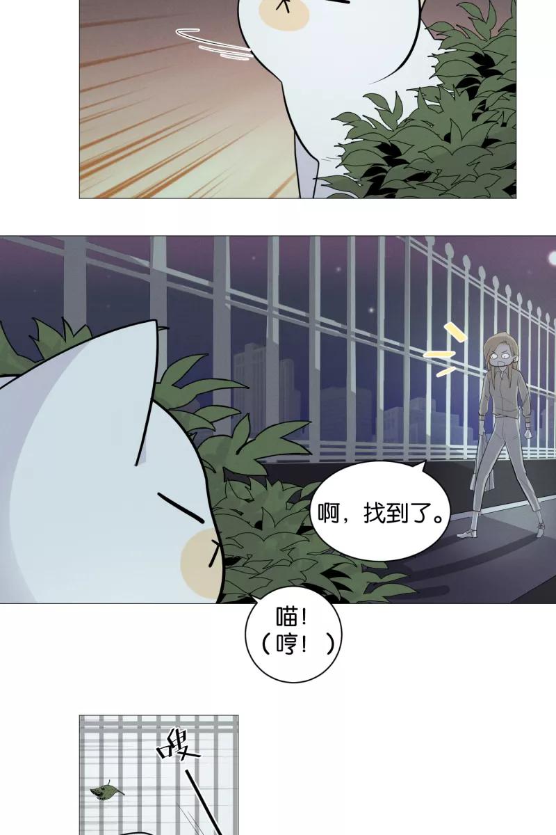 一半 - [第1话] 出走的猫（1） - 第34张图