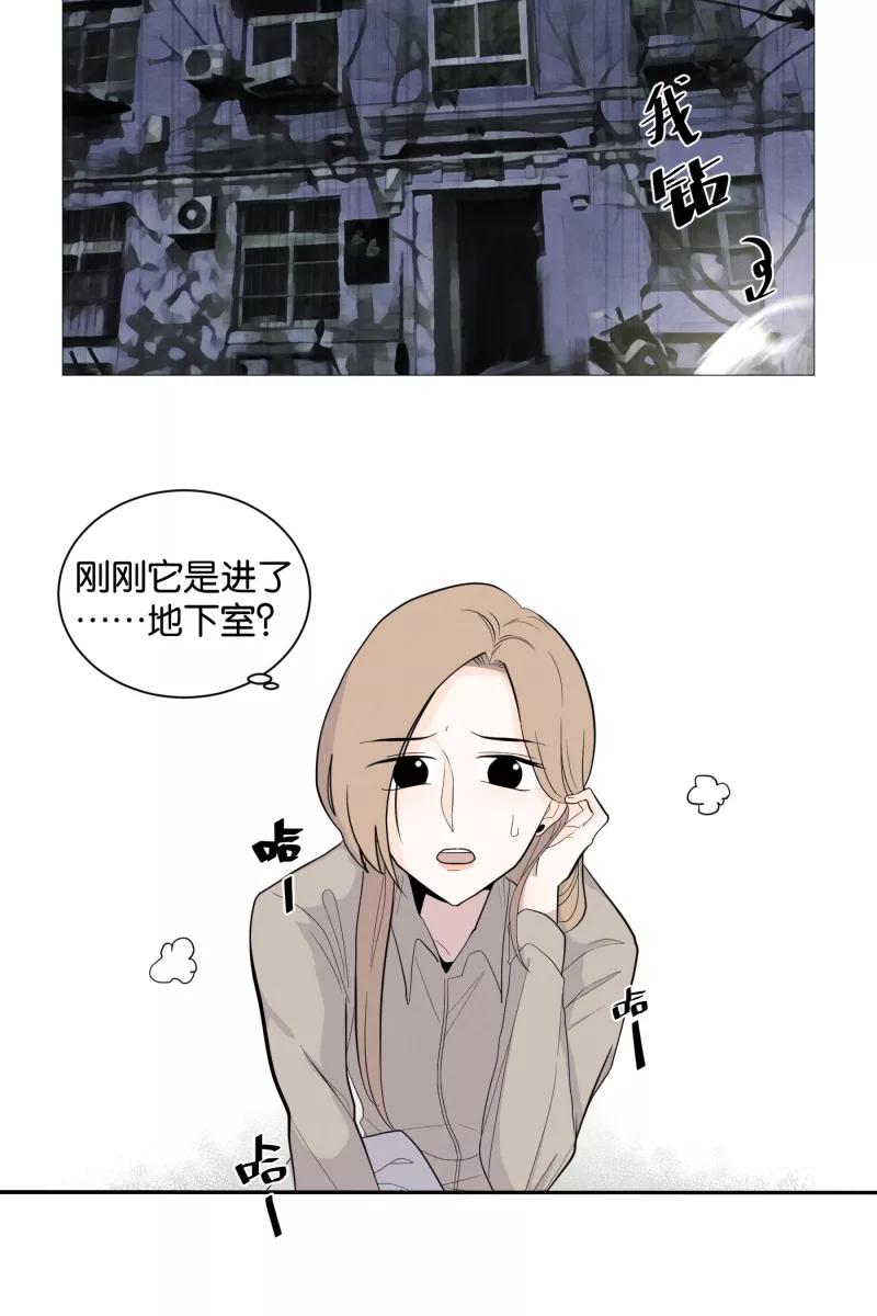 一半 - [第1话] 出走的猫（1） - 第36张图