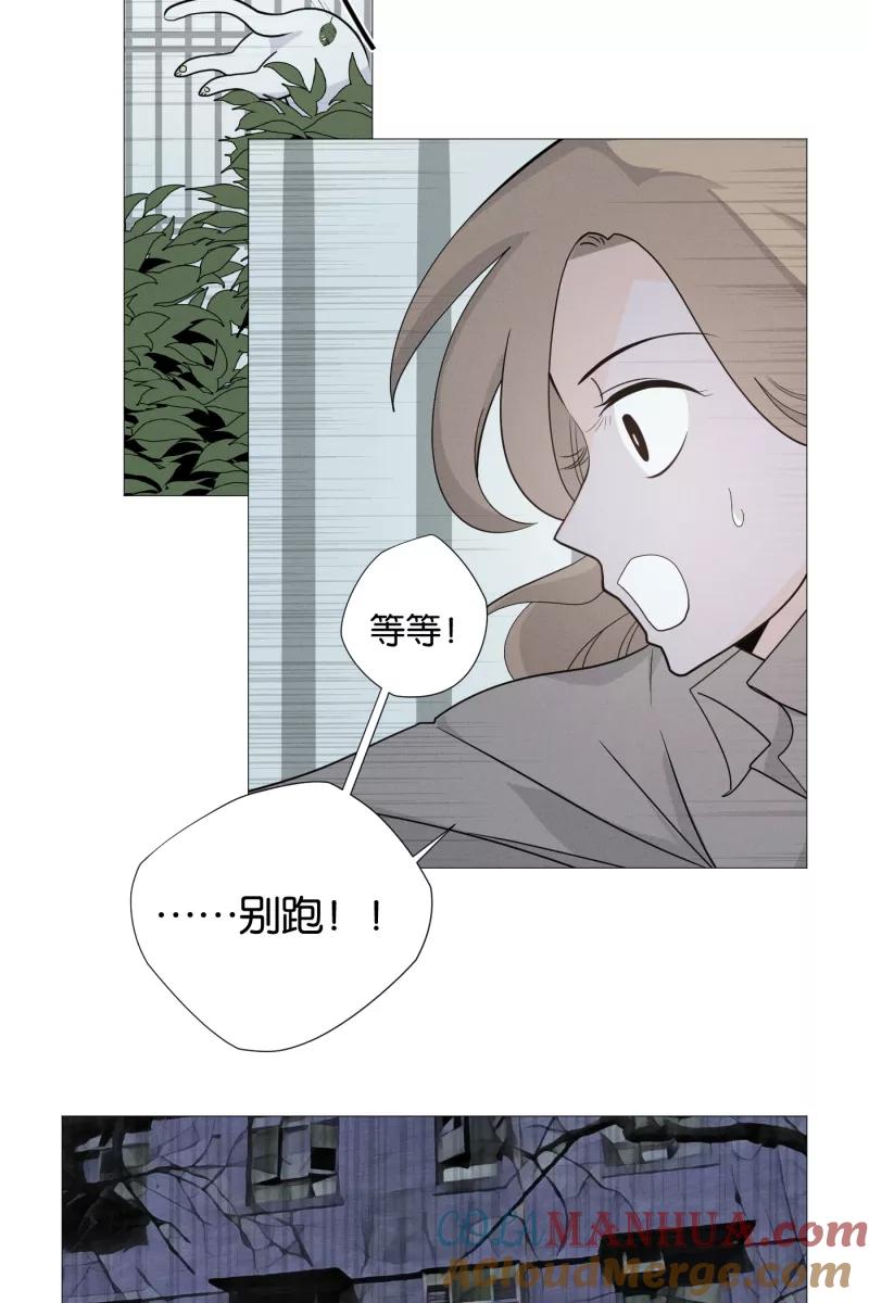 一半 - [第1话] 出走的猫（1） - 第35张图